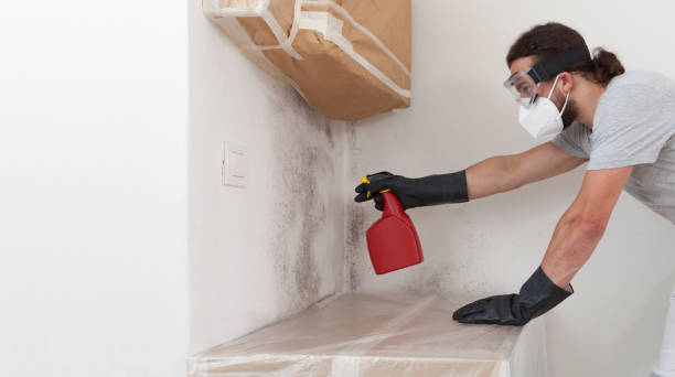 Professional Bathroom Mold Removal technician working in Lake Oswego, OR